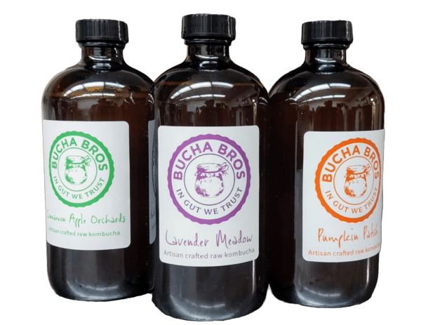 Kombucha Six Pack