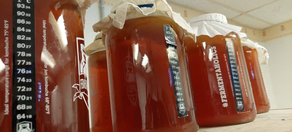 First Fermentation Of Kombucha Bucha Bros Llc First Fermentation Of Kombucha Bucha Bros Llc