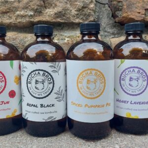 Kombucha Four Pack
